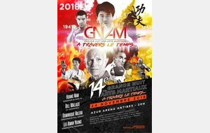 Festival des arts martiaux à Antibes