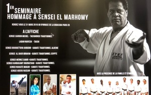1er Séminaire en Hommage au Sensei Ibrahim El Marhomy