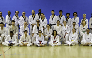 Les élèves de l'Institut de Taekwondo Paris autour de Michel Carron.