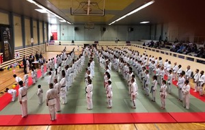 Cérémonie d'ouverture des 50 ans du Taekwondo de Maitre Lee Kwan Young. 