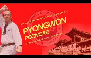 Stage Pyongwon poomsae