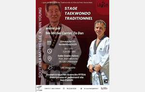 Stage de Taekwondo Traditionnel à CHANTEPIE (35)