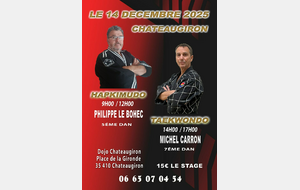 Stage de Taekwondo Traditionnel à Châteaugiron (35)