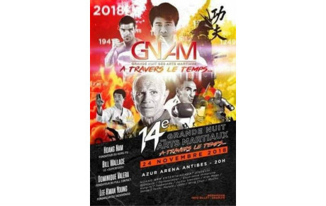 Démonstration de la Grande Nuit des Arts Martiaux d'Antibes.