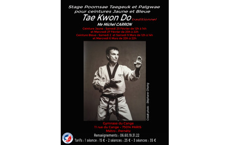 Stage Poomsae Ceintures Jaune et Bleue