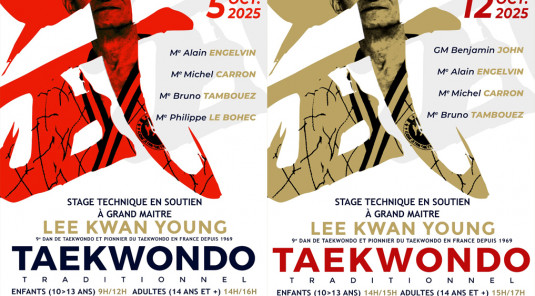 Stages de soutien à Maître LEE Kwan Young
